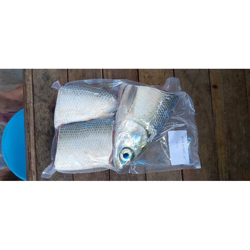 

BANDENG FRESH FROZEN BERAT BERSIH ± 1Kg