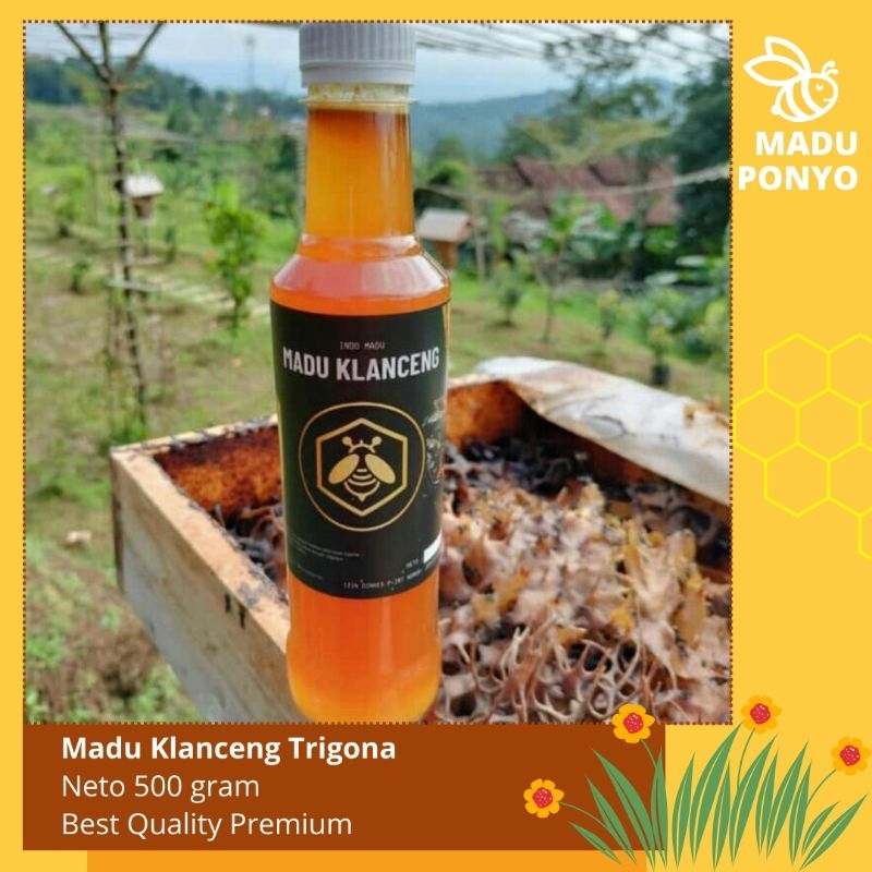 

Madu klanceng teweul trigona murni asli isi 500gr raw hoeny