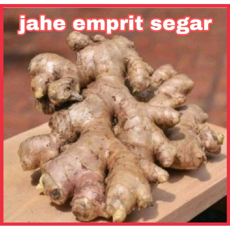 

jahe emprit segar 1 kg