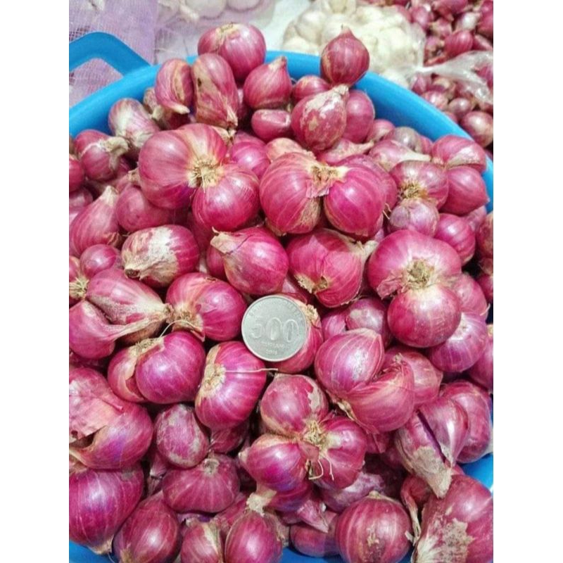 

BAWANG MERAH TERMURAH 1kg/LOKAL/FRESH/KERING