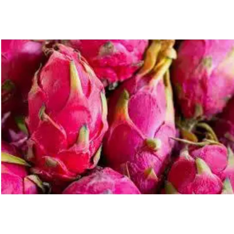 

BUAH NAGA / Pasar Makassar