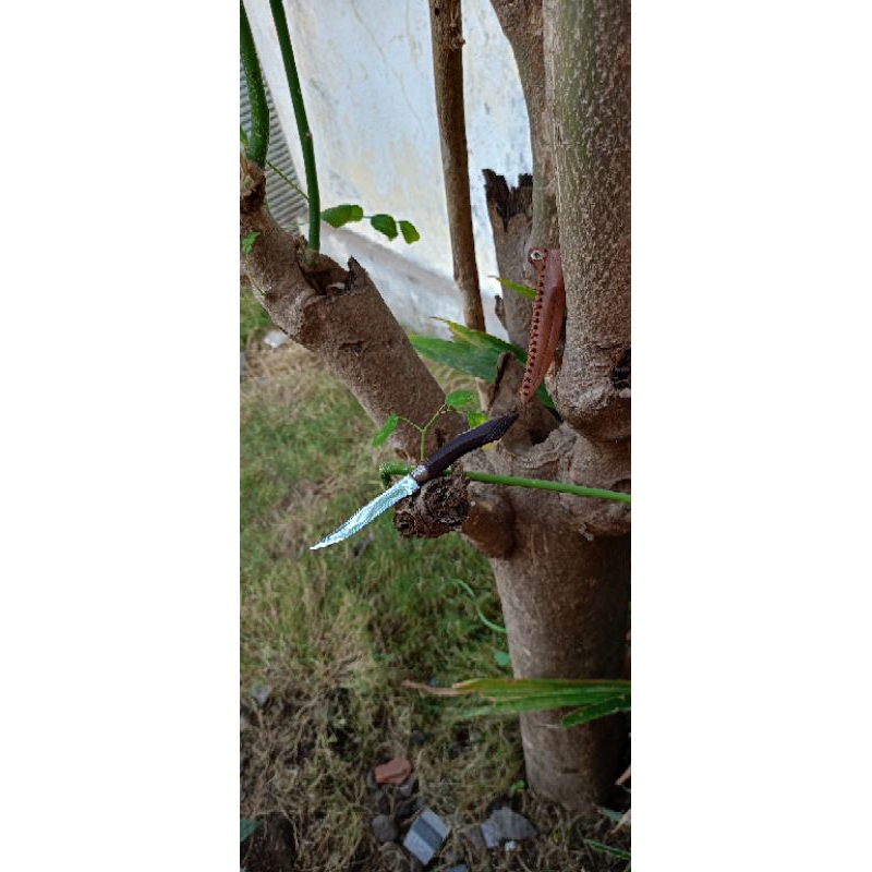 neck knife pisau saku pisau mini imut mungil lucu baja hss
