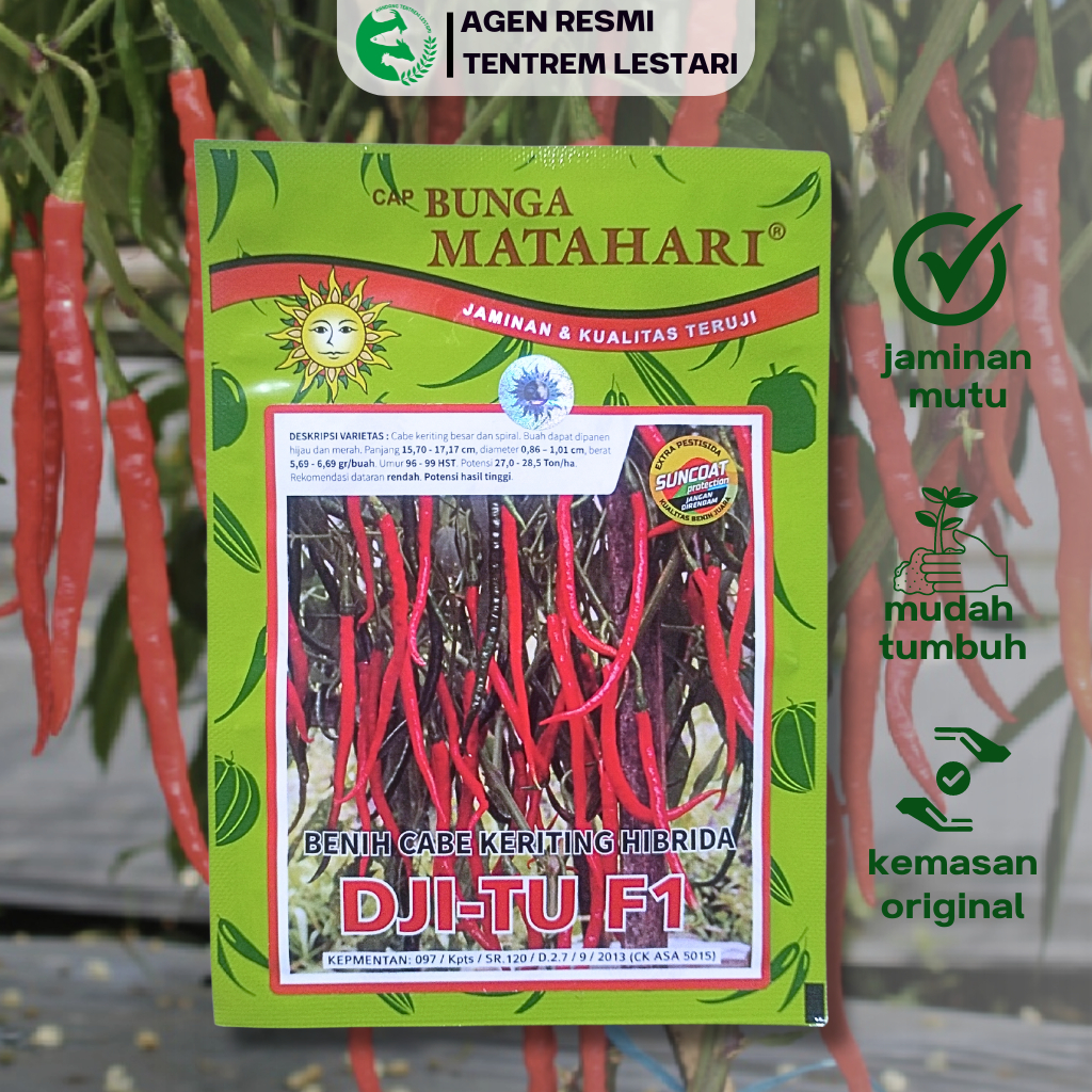 Benih Cabe Keriting Hibrida DJITU F1 10 gram Cap Bunga Matahari Lebat & Unggul
