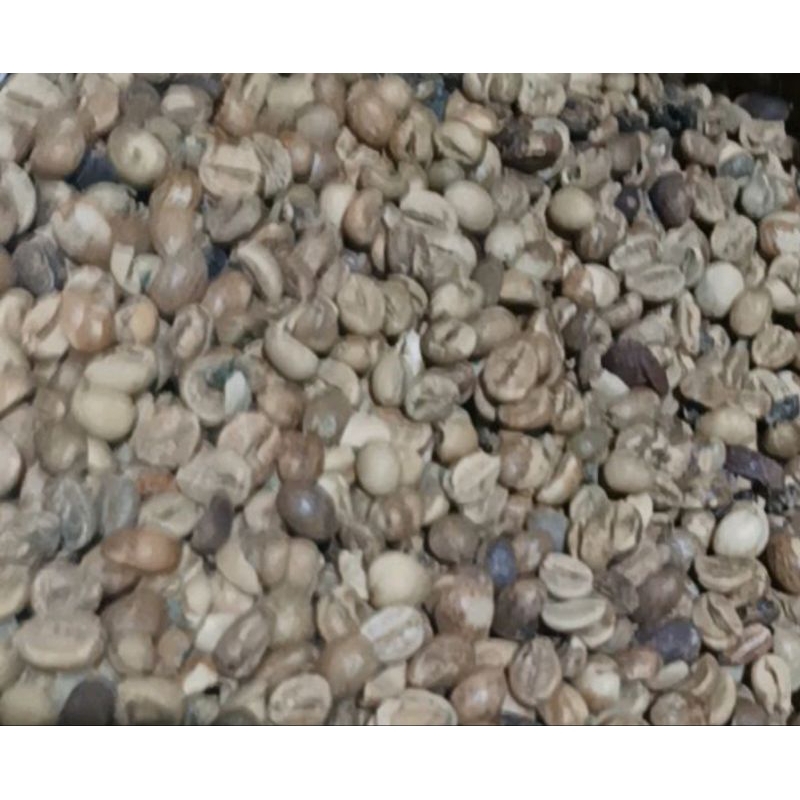 

Greenbean Robusta Asalan Malang (Non Sortir)