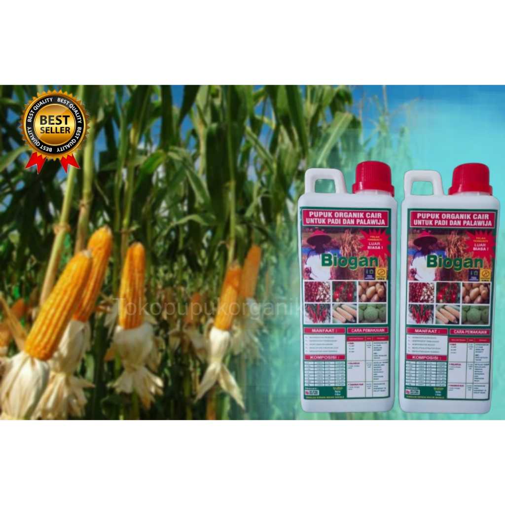 PUPUK ORGANIK CAIR  BIOGAN UNTUK PADI SAYURAN & PALAWIJA