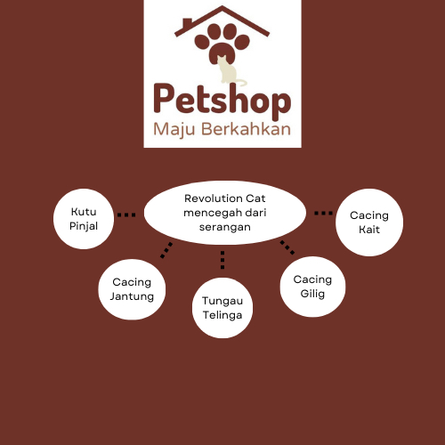 Repack Revolution Plus Cat Orange 0,2 ML (2,5 - 5 KG) / Obat Kutu Kucing Revolution Orange Original