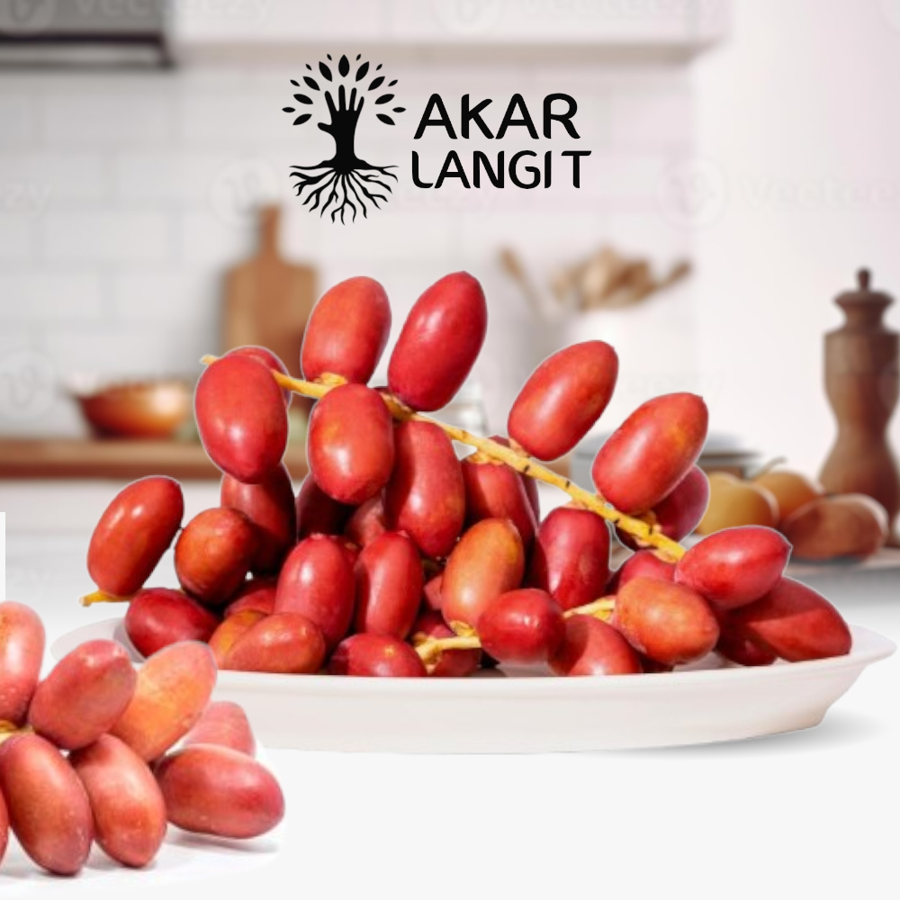 

1 Kg Kurma Muda merah / Ruthob Promil Segar bukan Frozen