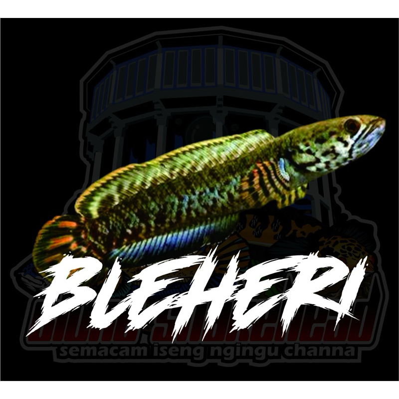

STIKER CHANA BLEHERI