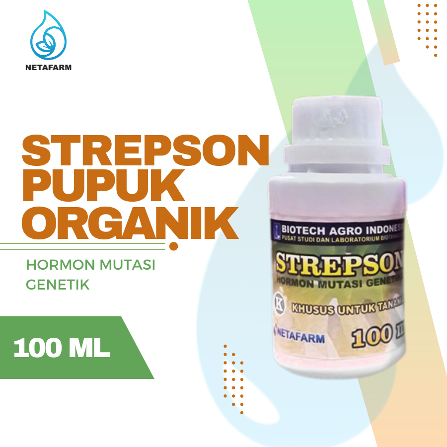 Hormon Strepson - 100ml