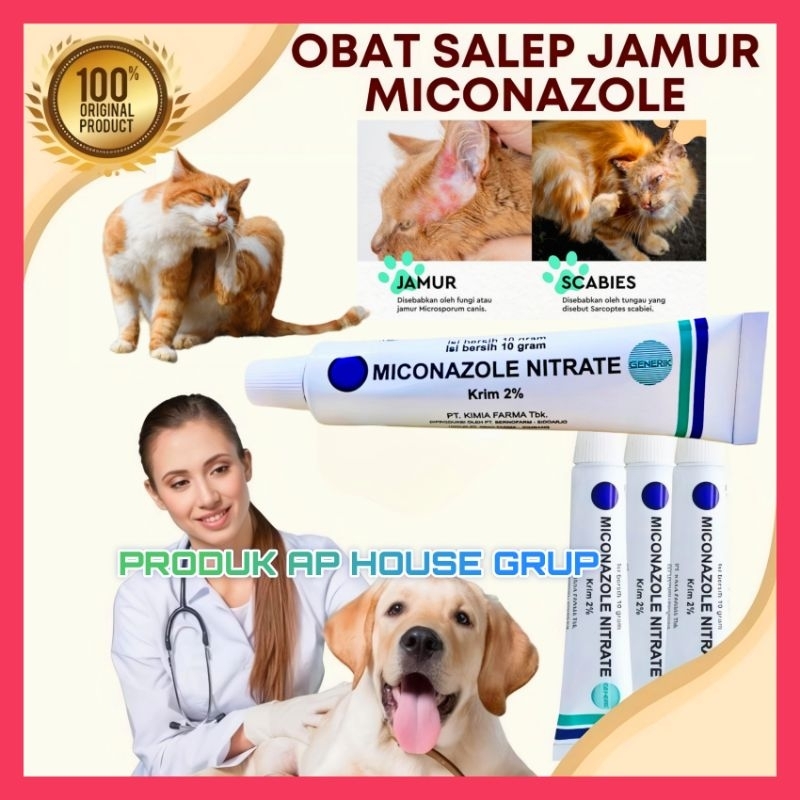 MICONAZOLE - SALEP INFEKSI KULIT JAMUR SCABIES UNTUK KUCING & ANJING SALEP MICONAZOLE