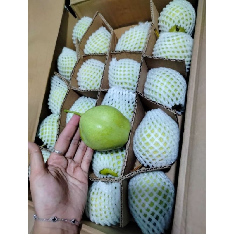 

buah pir shiang lie segar 1kg