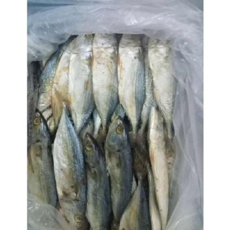 

ikan asin peda 250 gr pasar samarinda