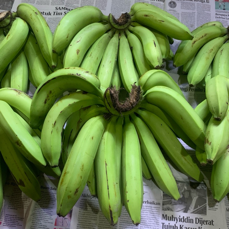 

[NERAFARM] PISANG CAVENDISH HIJAU
