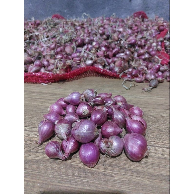 

BAWANG MERAH 1/2 KG MURAH