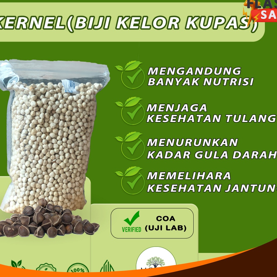 

SERENTAK Biji kelor kupas organik kualitas ekspor premium kernel biji kelor kernel moringa seed 5Gr