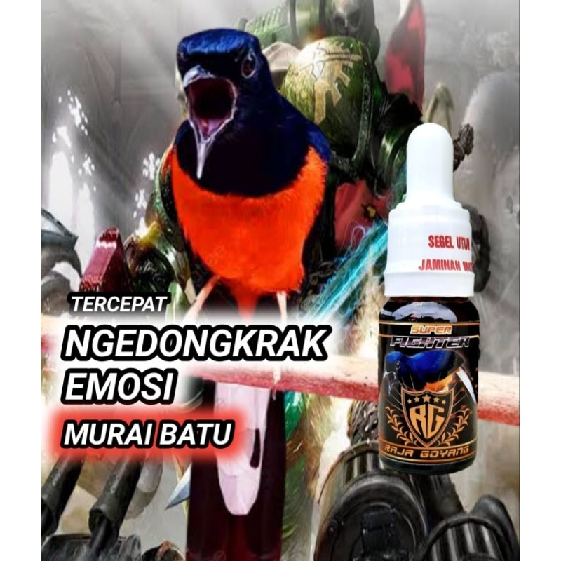 super fighter,pendongkrak murai,PENGGACOR MURAI batu,suplemen murai batu