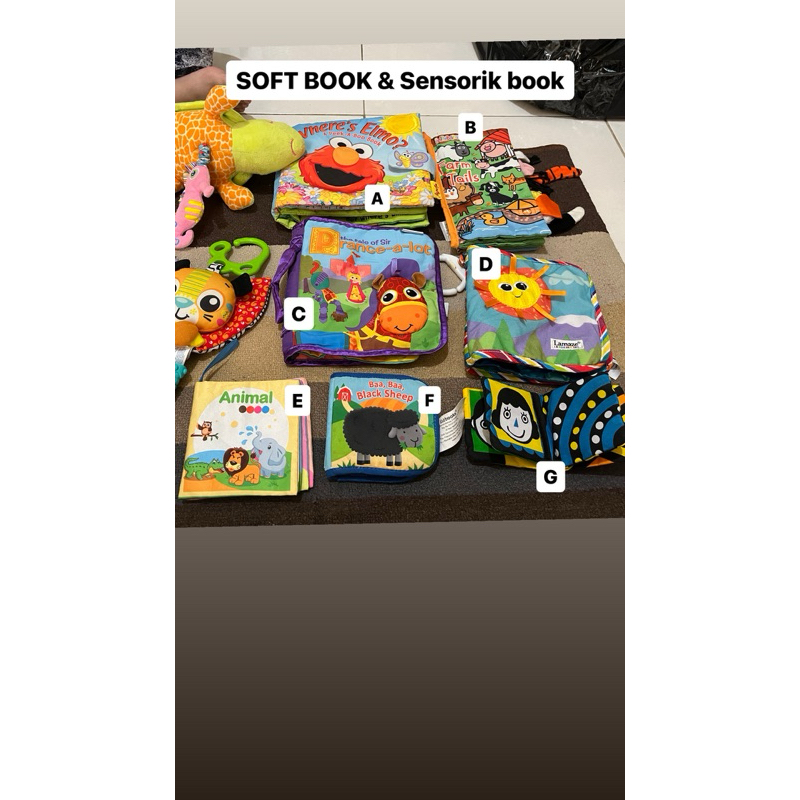 SoftBook Preloved