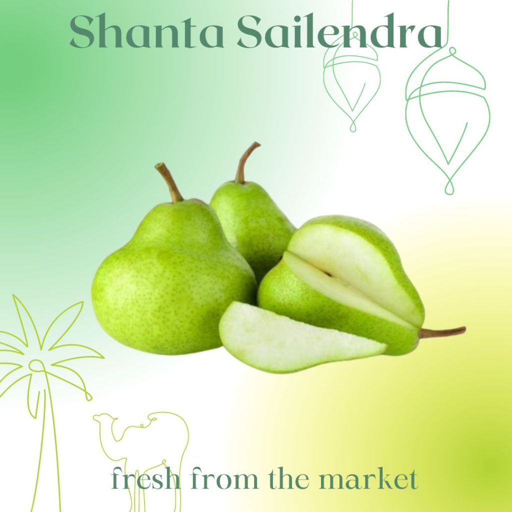 

PIR HIJAU GREEN PEAR 500 GRAM