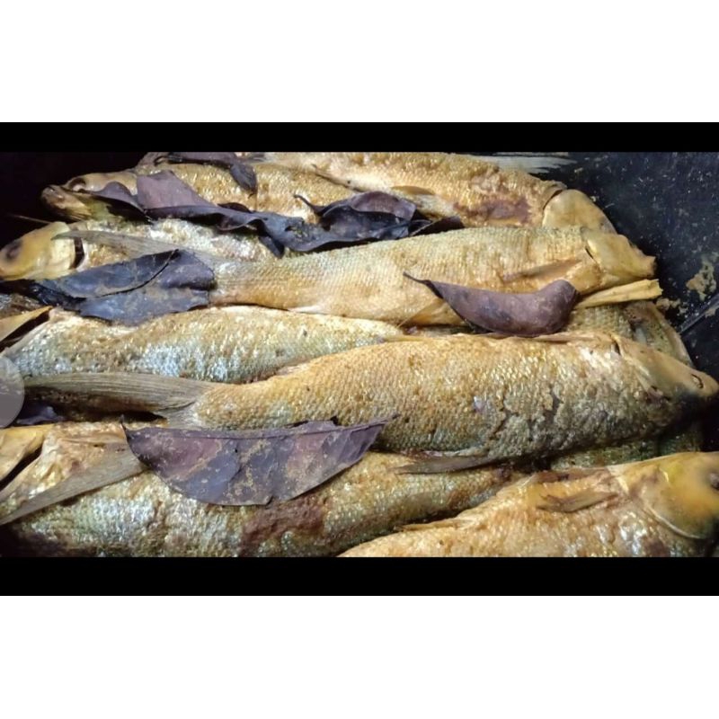 

Pindang Bandeng Bumbu Presto Duri Lunak Per Ekor