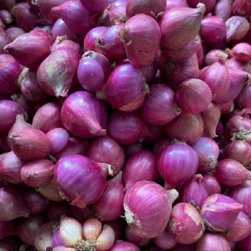 

bawang merah murah berkualitas 1 kg/500 gram