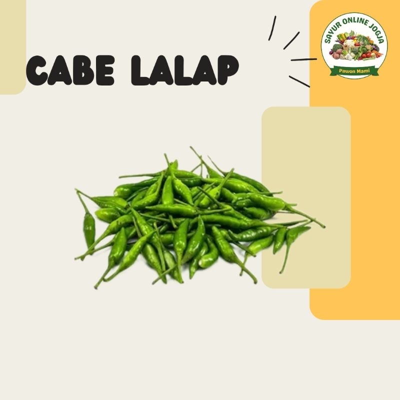 

Cabe lalap hijau cabai ceplus rawit hijau - PAWON MAMI SAYUR ONLINE JOGJA