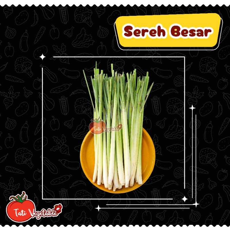 

Sereh / Serai Besar || Bumbu Dapur || Tati Vegetable || Sayuran Segar || Groceries || Grosir