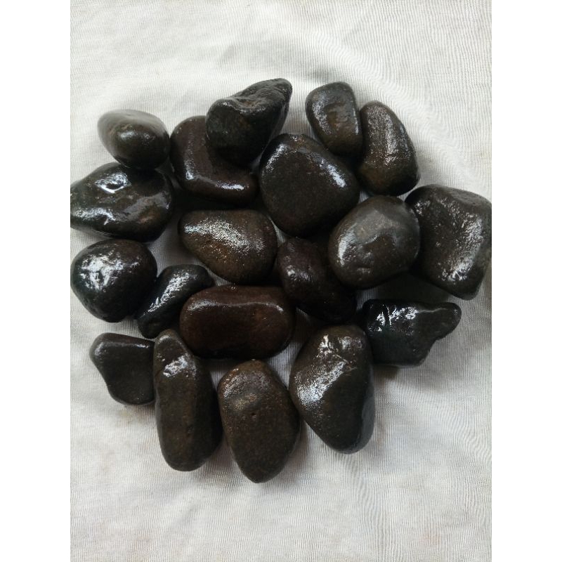 Batu Koral Hitam Batu Tanaman Hias & Aquarium Untuk Dekorasi 1kg