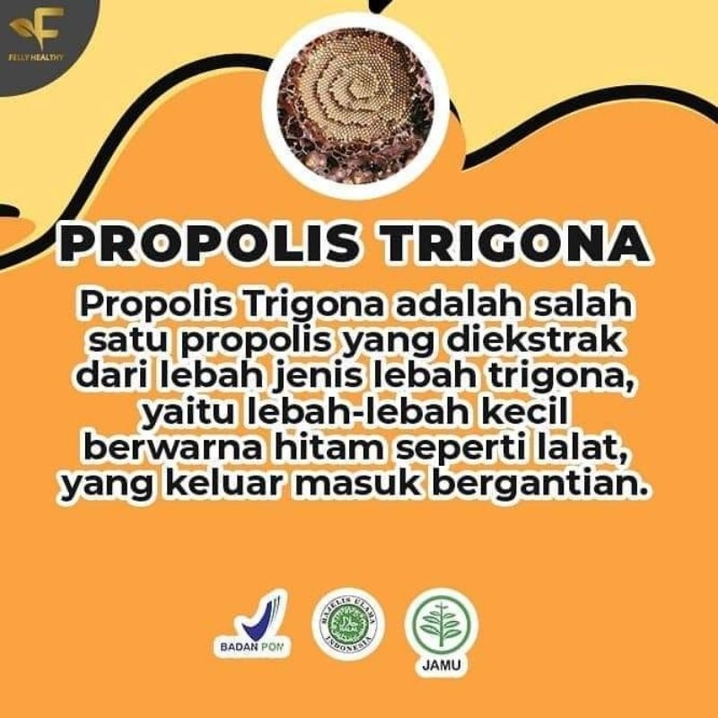 

PropolisTrigona