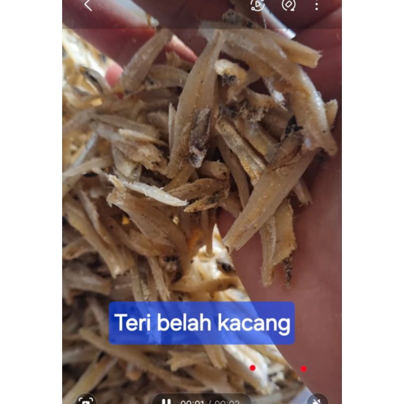 

Ikan Teri Belah Kacang Medan Berkualitas 500gr - 1kg