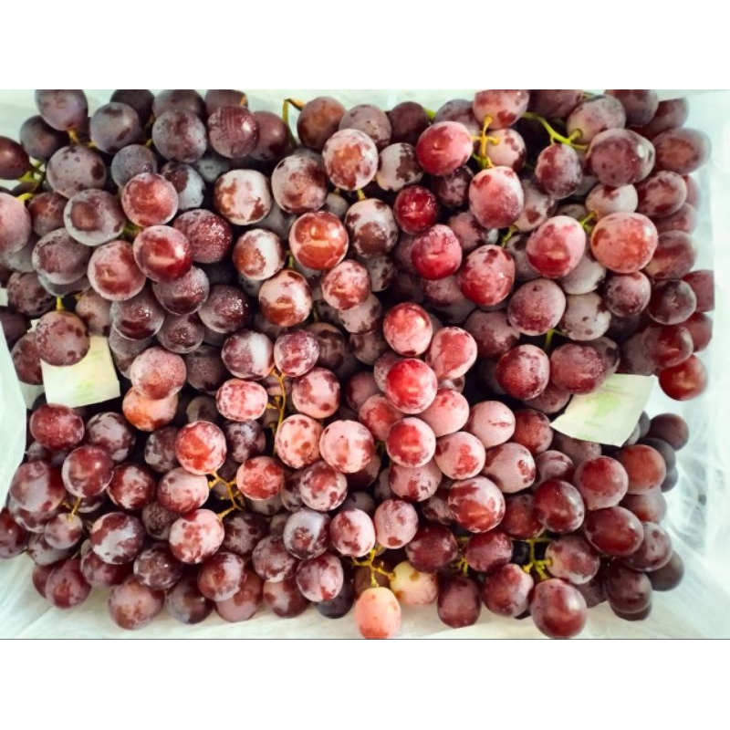 

Buah Anggur import red globe 1kg