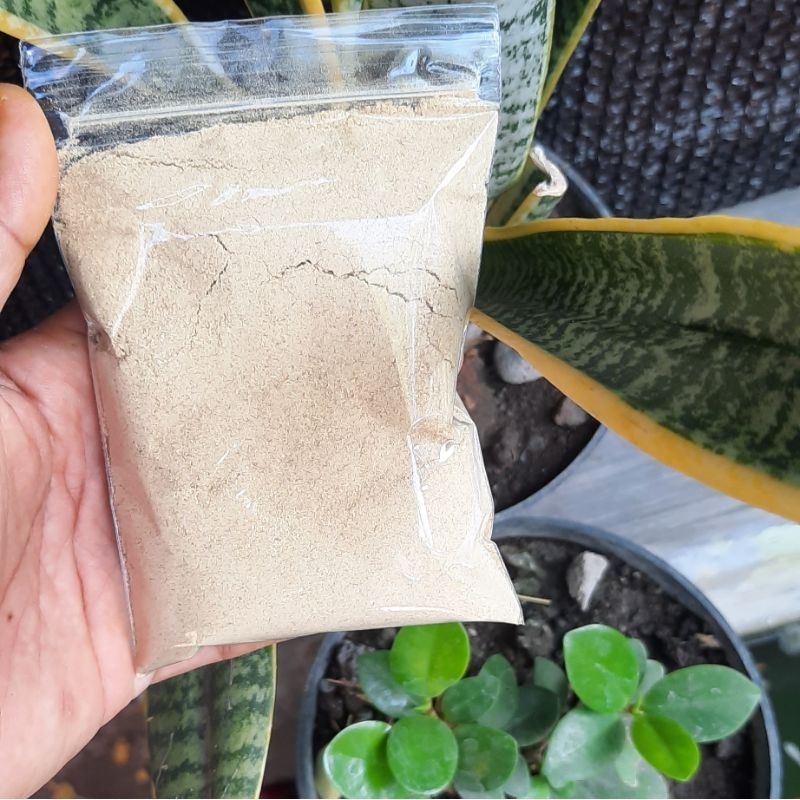 

100 gr sereh bubuk / serai bubuk murni kualitas bagus tanpa campuran