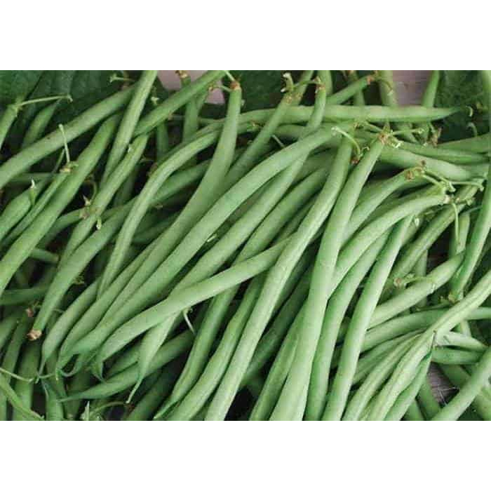 

Buncis Fresh 250gr