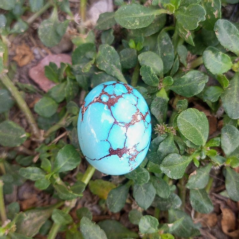 Batu Permata Asli Pirus Mesir Garansi Original