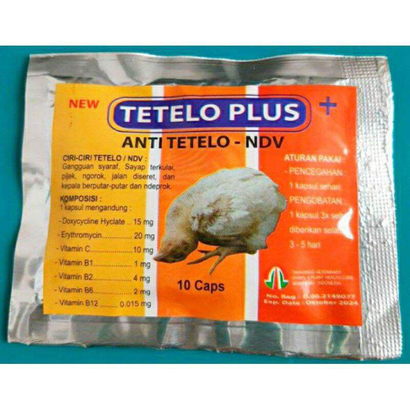 Tetelo plus obat ayam burung tetelo kejang kepala muter
