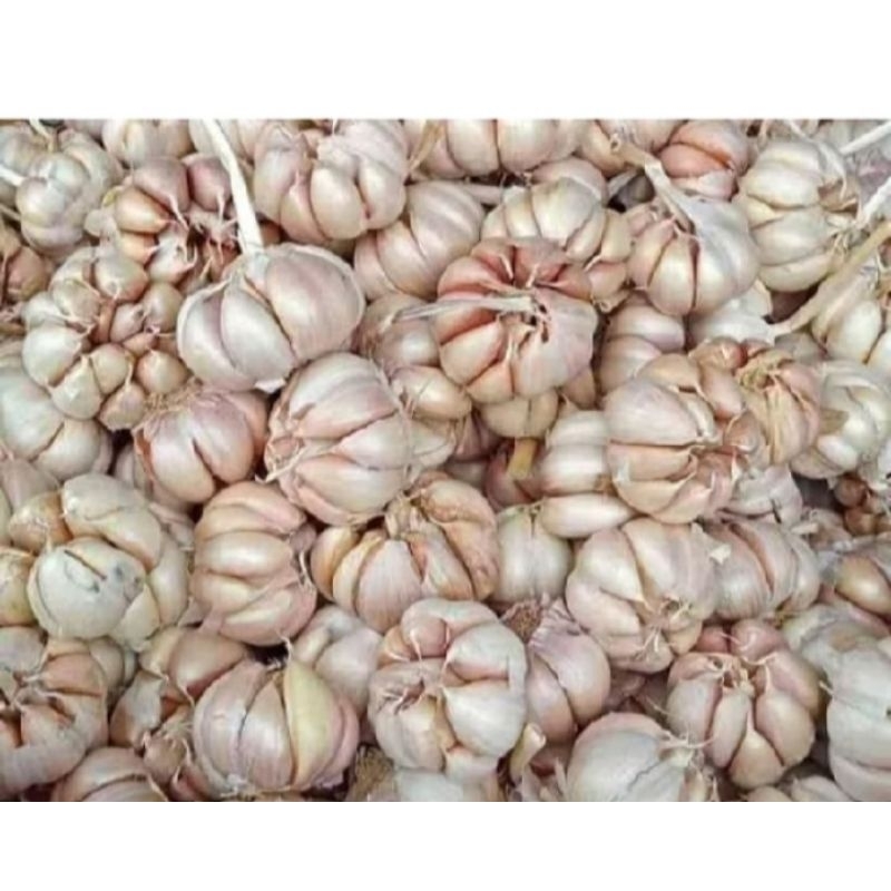 

BAWANG PUTIH 1KG