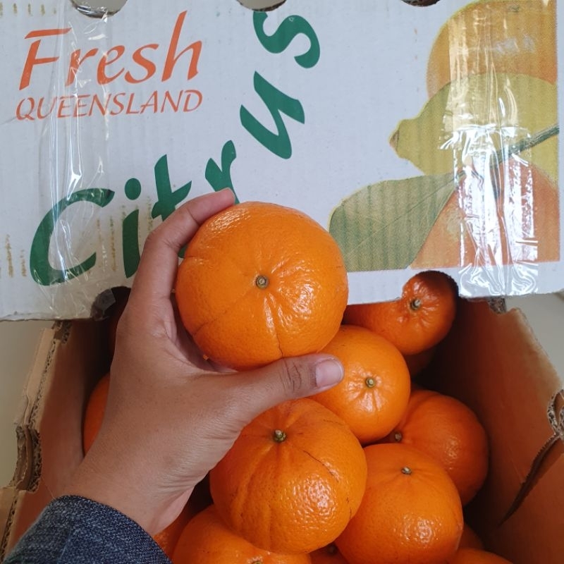 

Jeruk Murcot Aussie/ Tanpa Biji Seedless Buah Impor
