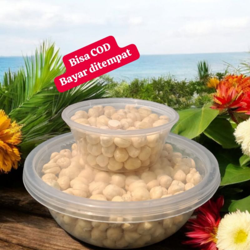 

kacang arab murah