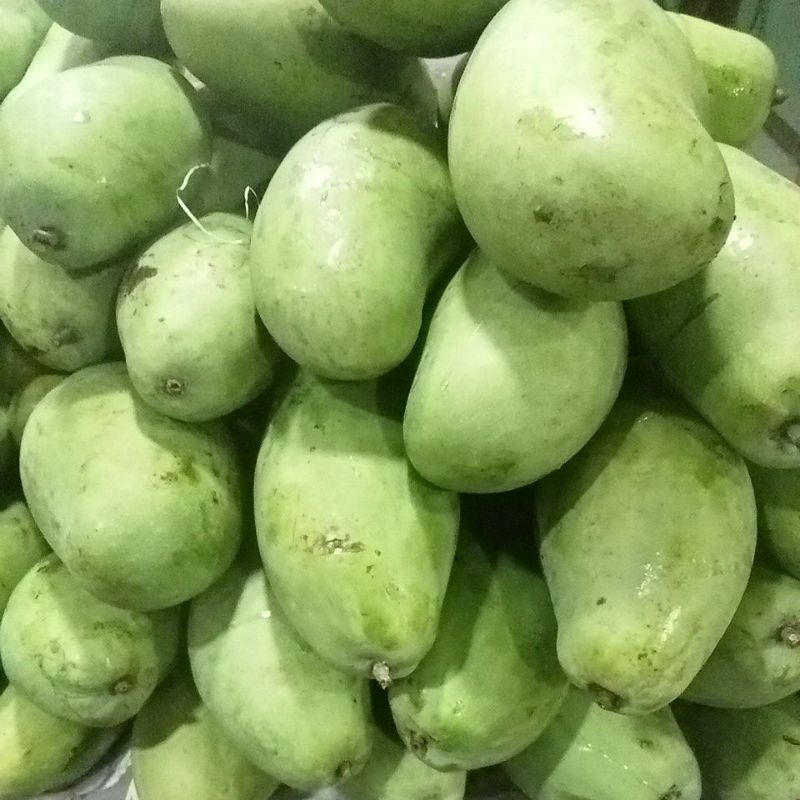 

Mangga Muda - Santok- 1kg