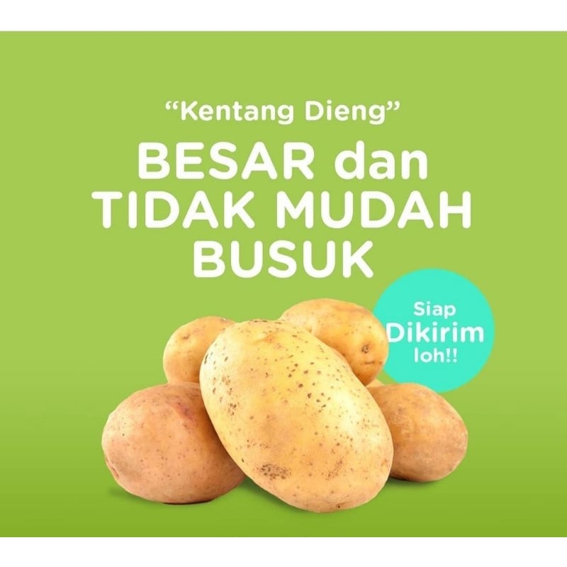 

KENTANG DIENG SUPER 500GR/KENTANG SEGAR PILIHAN/SAYURAN SEGAR/UMBI UMBIAN/KENTANG MURAH/ORGANIK