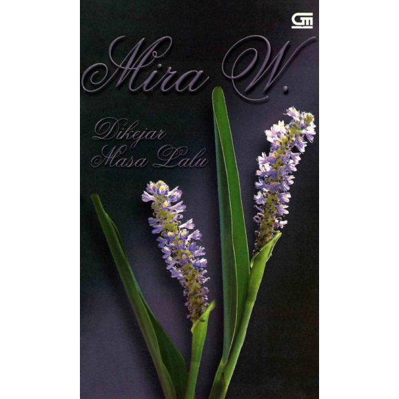 Novel Dikejar Masa Lalu (Mira W.)