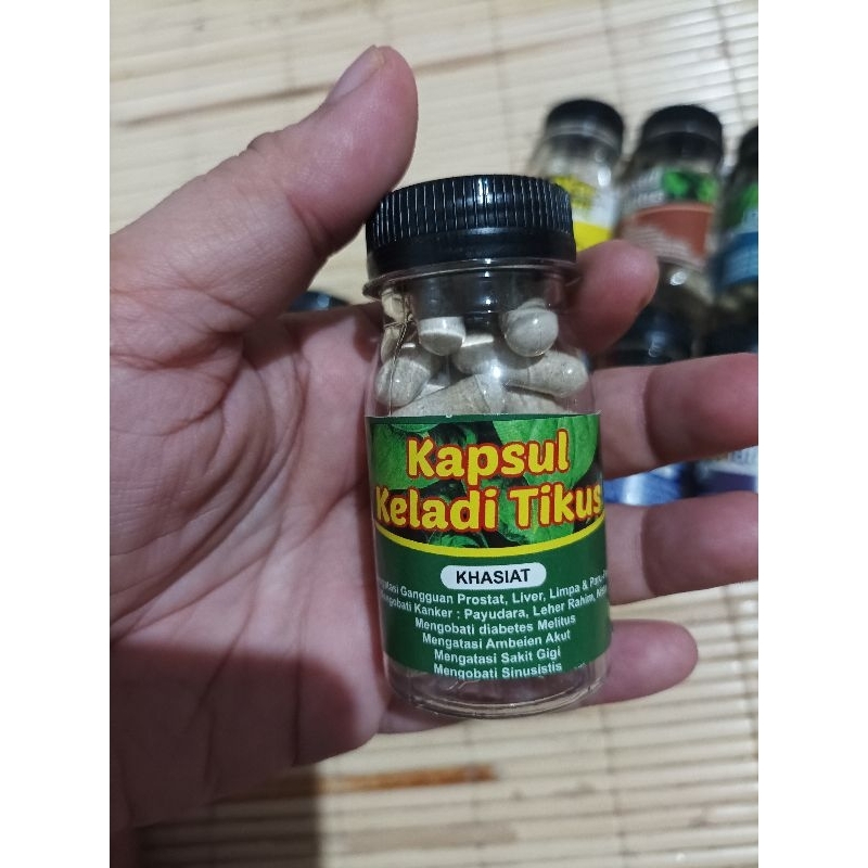 

keladi tikus