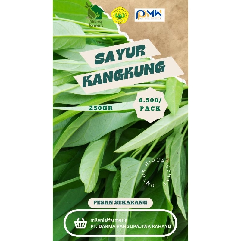 

kangkung hidroponik