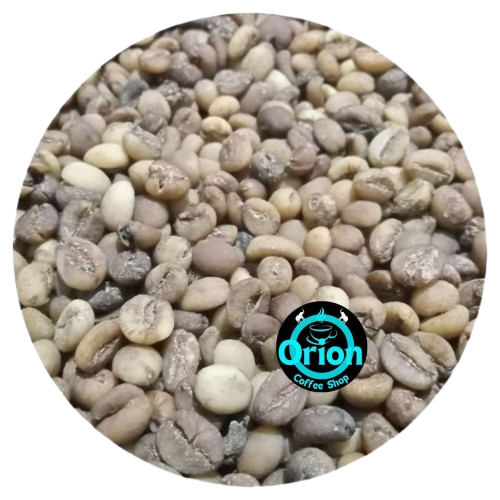 

Kopi orion dari fermentasi perut gajah