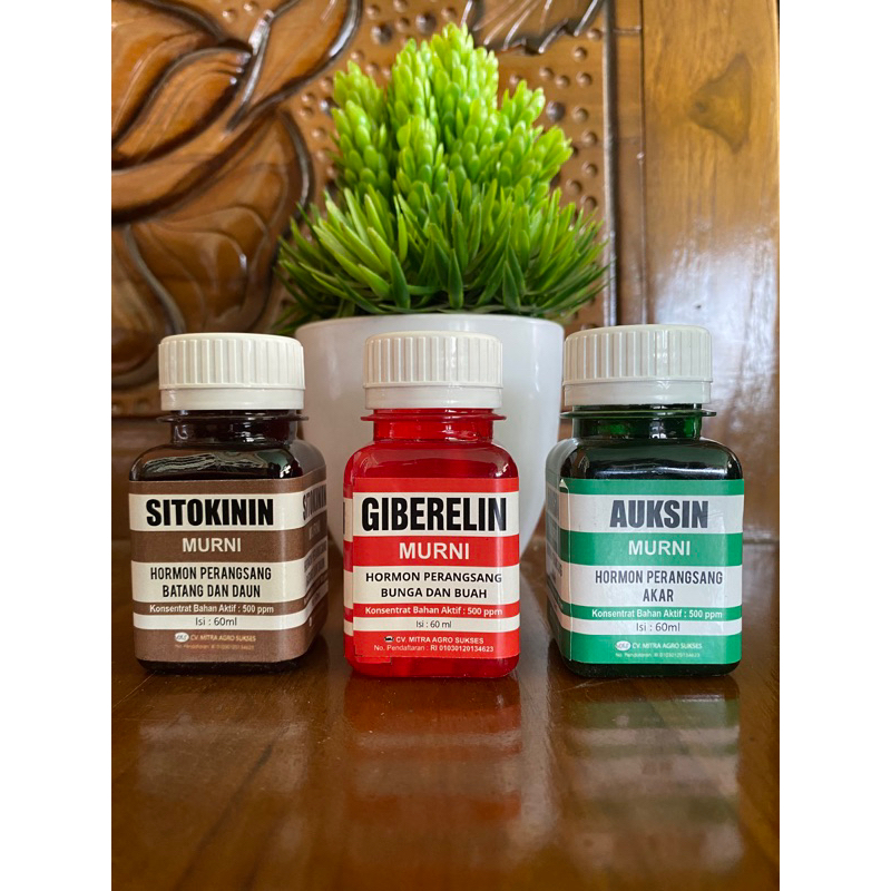 AUKSIN, GIBERELIN, SITOKININ ZAT PENGATUR TUMBUH