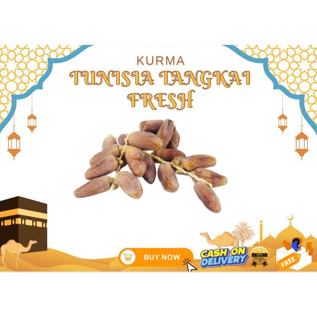 

KURMA TANGKAI 5kg | Kurma Tunisia Asli Kualitas Premium