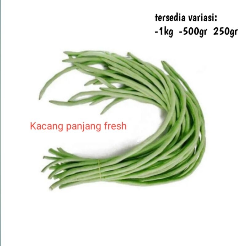 

PROMO KACANG PANJANG SEGAR 1KG/SAYURAN SEGAR/SAYUR FRESH/SAYURAN MURAH/KACANG PANJANG MURAH