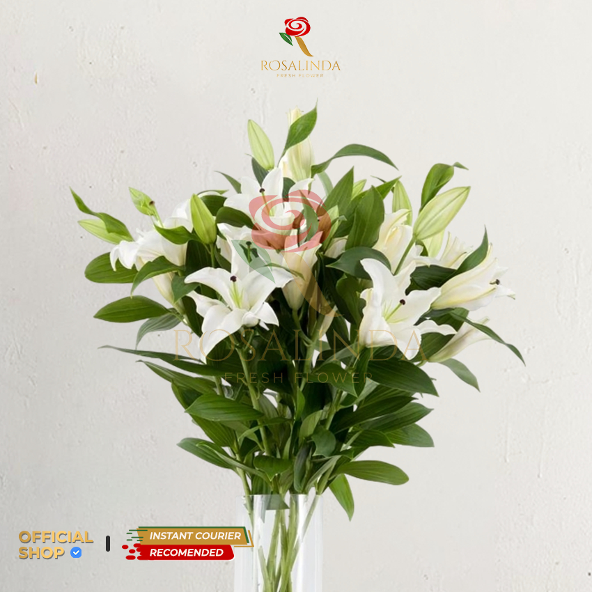 Bunga Lily / Bunga Potong Segar