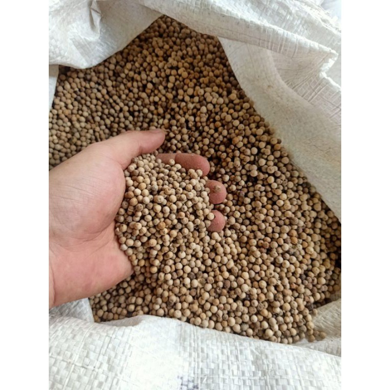 

Biji Lada putih 100gram