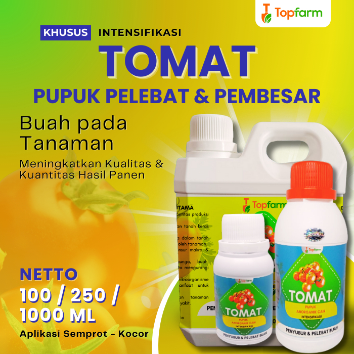 Pupuk Pelebat Buah Tomat / Pupuk Buah Super Lebat Tomat / Pupuk Tomat Agar Berbuah Lebat / Pupuk Tom