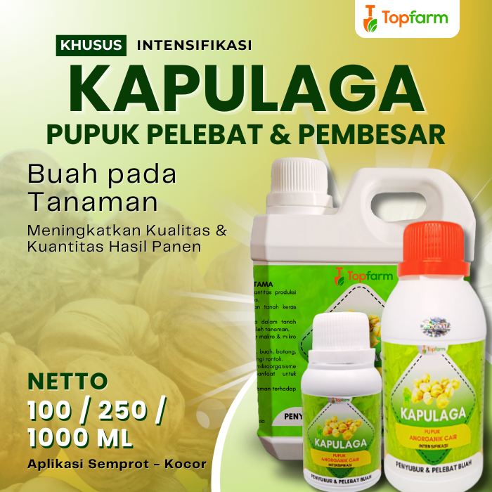 Pupuk Buah Super Lebat Kapulaga / Pupuk Pelebat Buah Kapulaga / Pupuk Buah Kapulaga / Pupuk Tanaman 